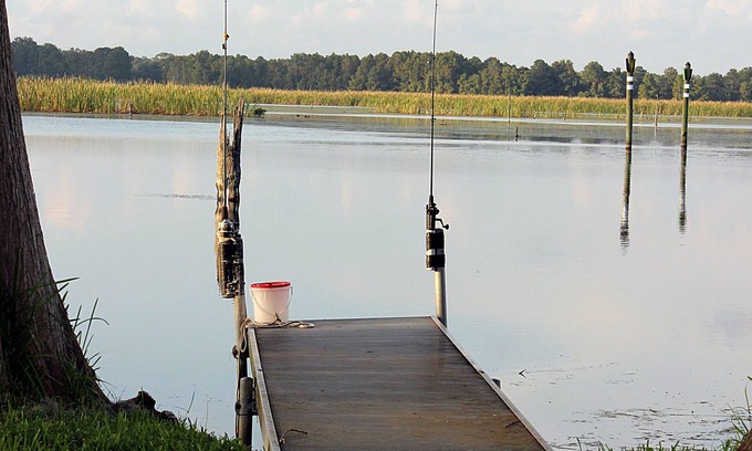 Crystal River Cabin | Waterfront Home, Sun Room with TV, Fishing Dock, Private Location