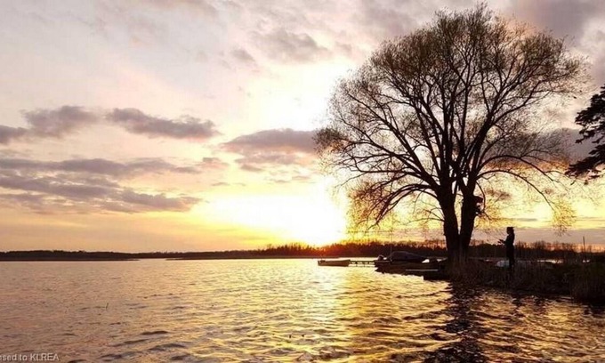 Lindsay Cottage | Waterfront! Lalani on the Lake. 2 docks with modern comfortable living space.
