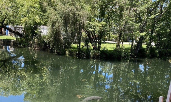 Weeki Wachee Gardens House | Weeki River Haven-Large Waterfront/corner Lot -On 2 canals - Very close to river