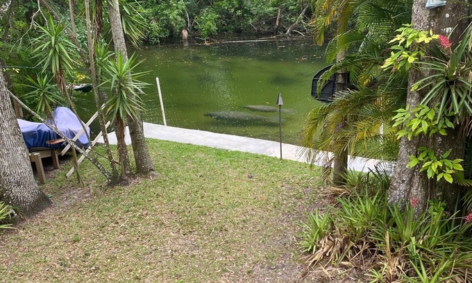 Weeki Wachee Gardens House | Weeki Wachee river ! REAL FLORIDA! Read OUR 5 STAR REVIEWS