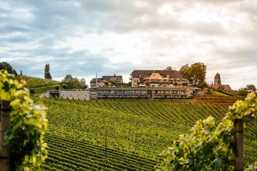 Gamlitz Hotel | Weinrefugium Brolli