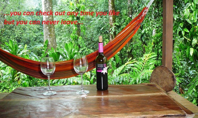 Cocles Apartment | Welcome to the jungle! stylish jungle view apartments for nature lovers
