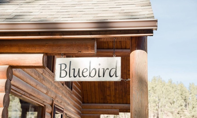 Hill City Cabin | Welcome to Bluebird Retreat!