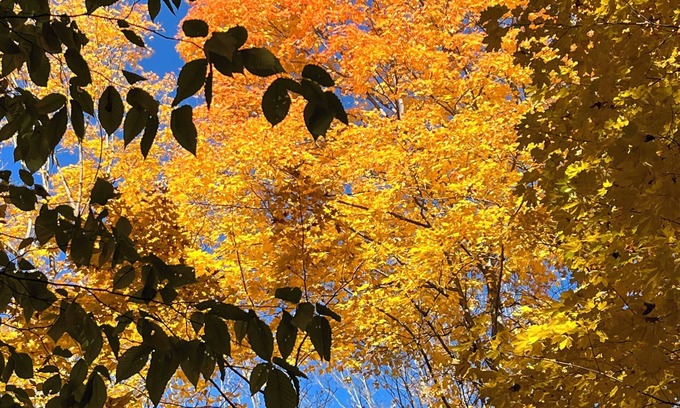 Indian River House | Welcome to Irish Acres Camping Retreat! Nestled in the woods of Indian River, MI