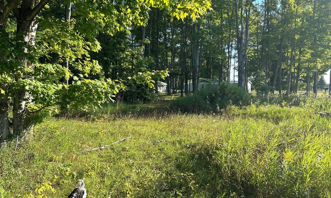 McMillan RV Rental | Welcoming campsites in heart of the UP