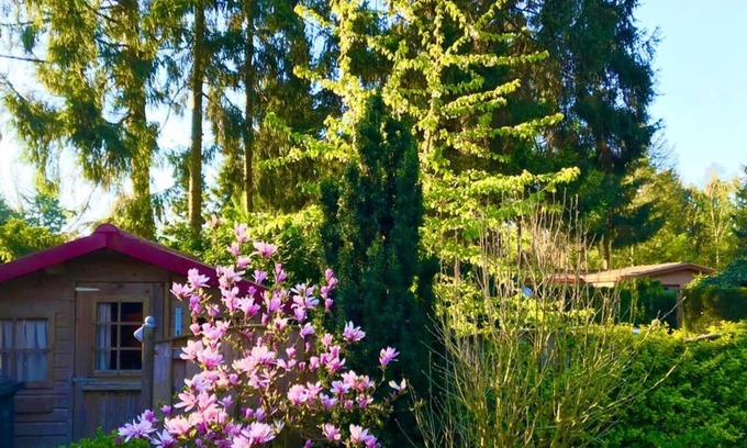 Garderen Ski Chalet | Welcoming Chalet in Garderen With Garden