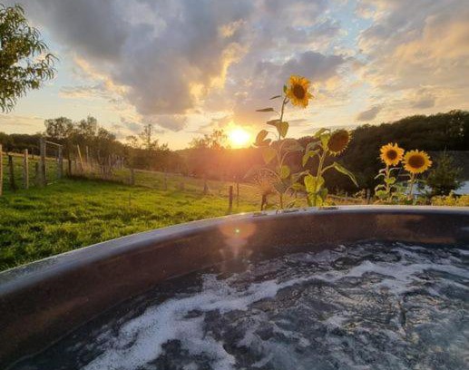 Schladern House | Wellness für 2 Rosbachtal Eisvogel