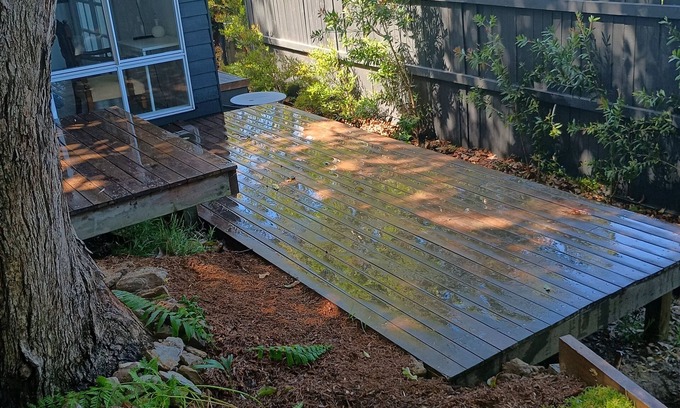 Avalon Beach Cabin | Whale Beach Sunny Retreat