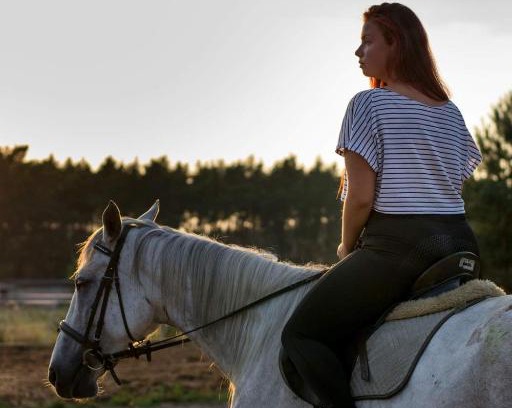 Scinawa House | White Pony agroturystyka i stajnia