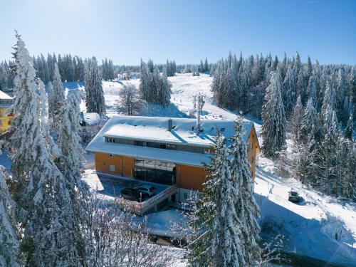 Feldberg Apartment | Wiesenquell Apartment Feldberg