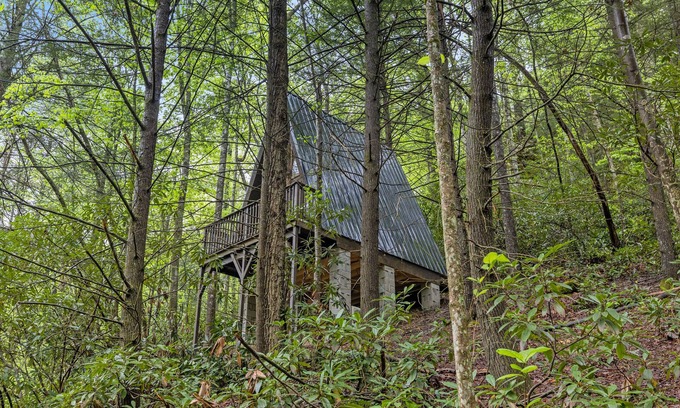 Pine Ridge Cabin | WiFi & Adventure - Fern Grove - Camping Cabin Retreat in Red River Gorge, Kentucky!