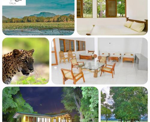 Tissamaharama Other | Wild Earth Ceylon Leisure - Yala