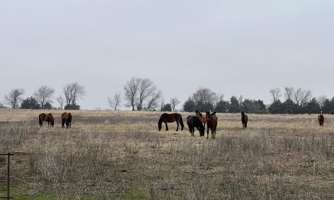 Vinita Other | Wild Horse Hideout/Private Pool Country Living