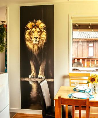 Kilmun Ski Chalet | Wild Jungle Retreat