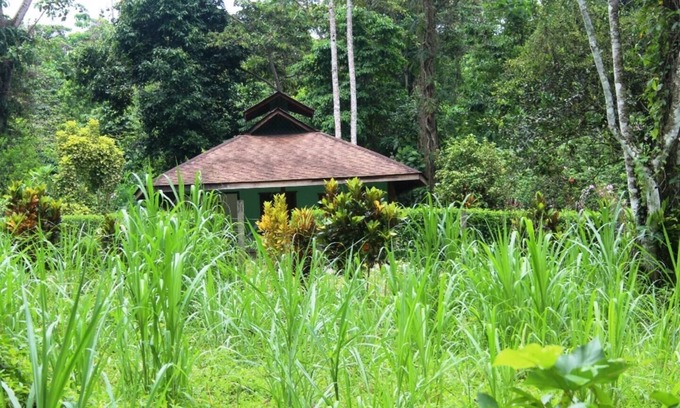 Cahuita House | Wild nature - 300 m from the beach 5 person house.