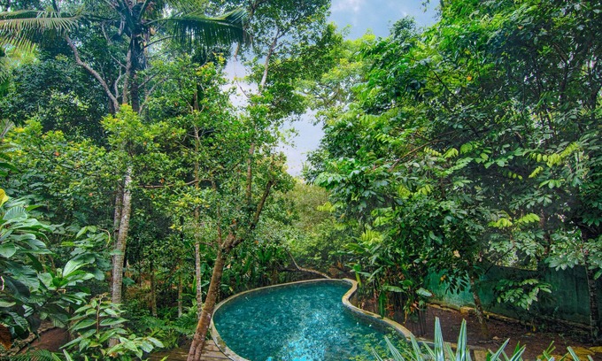 Unawatuna Villa | Wild Nest Villa | Modern 2 Bedrooms Villa with a Private Pool