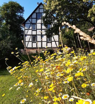 Rotenburg an der Fulda Apartment | Wildhüterhaus an der Wasserburg