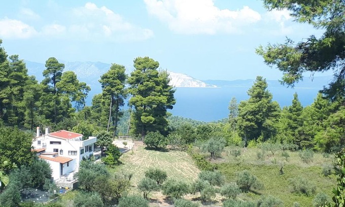 Achinos Cabin | Wildherb House