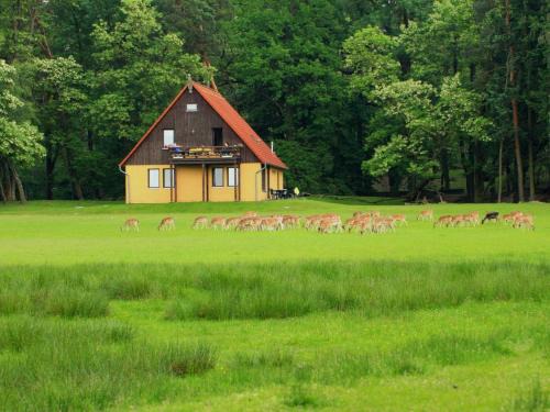 Baruth/Mark Apartment | Wildpark Johannismühle