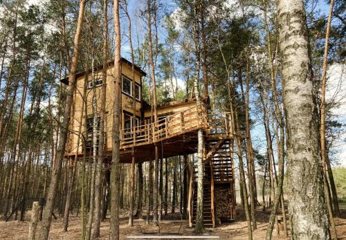 gmina Kamionka Cabin | Willa na Drzewie