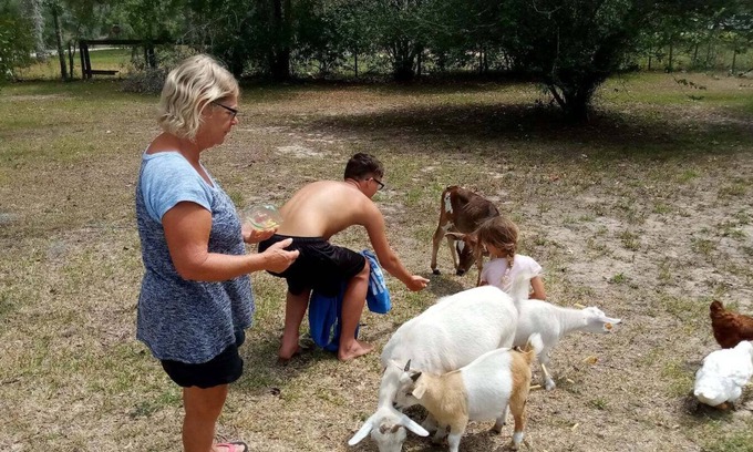 Williston Other | Williston Fl Petting Zoo 10 minutes to Blue Grotto