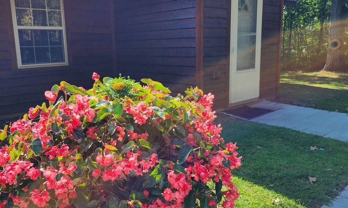 Hunter Resort | Willow Oak Cabin- Cabin on the Chippewa Flowage within a Resort