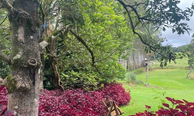 Rosebank Other | Windaboo @ Rosebank Byron Hinterland Estate