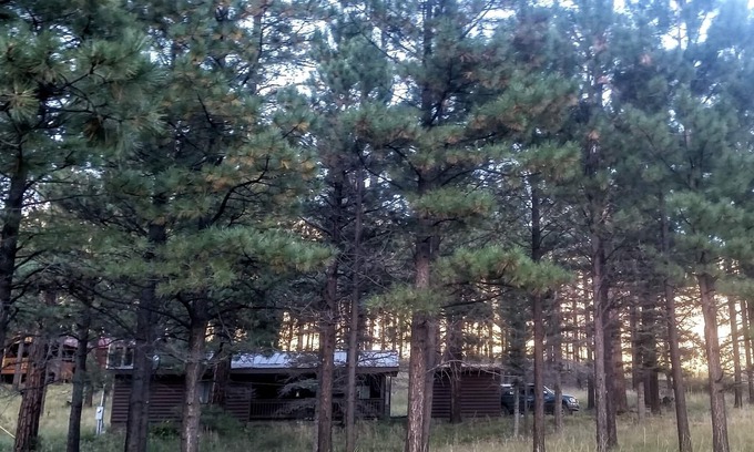 Greer Cabin | Windes' East Fork Retreat: Private, By the river, Bird Watching, Weekly Rate