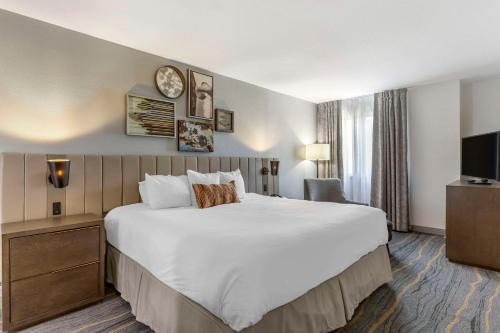 Surprise Original Townsite Hotel | Windmill Suites Surprise - Phoenix, an Ascend Collection Hotel