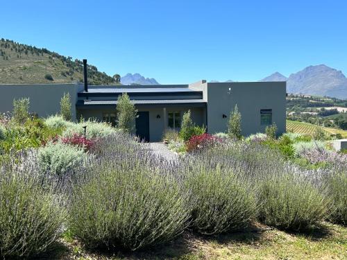 Stellenbosch House | Windon vineyard farmhouse