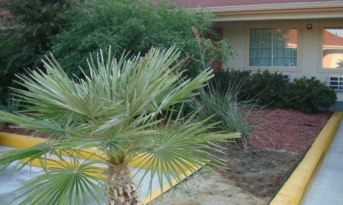 North San Antonio - SAT Hotel | Winnquest Inn Near Ft. Sam Houston
