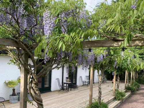 Simrishamn Hotel | Wisteria Österlen