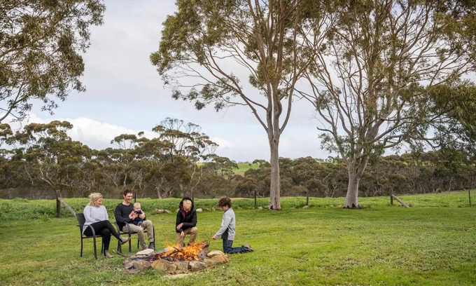 Seddon Other | Wittows Creek - fantastic family farm stay