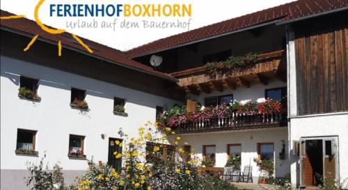 Bobrach Apartment | Woferlhof, Ferienhof Boxhorn