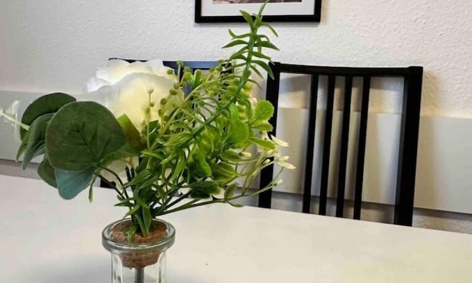 Ibbenbueren Apartment | Wohnung in Ibbenbüren mit 8 Queensize-betten