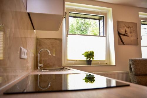 Gottschied Apartment | Wohnung mit Wohlfühlcharakter