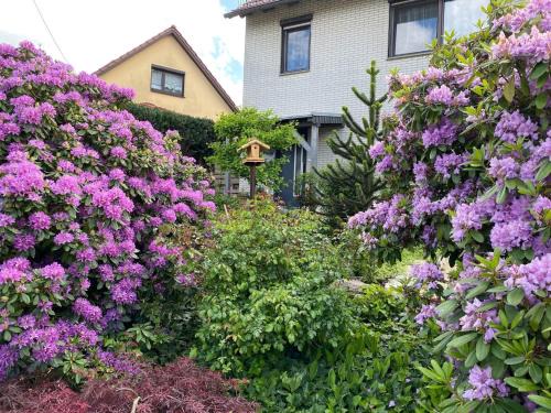 Emsetal Apartment | Wohnung nahe Inselsberg Wanderwege