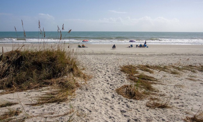Myrtle Beach Condo | Wonderful Beachfront View - Myrtle Beach C208 Ocean Forest Villas
