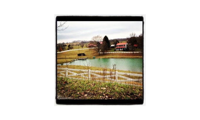 Wytheville Cabin | Wonderful Log Cabin with plenty of privacy, yet only minutes from Wytheville!