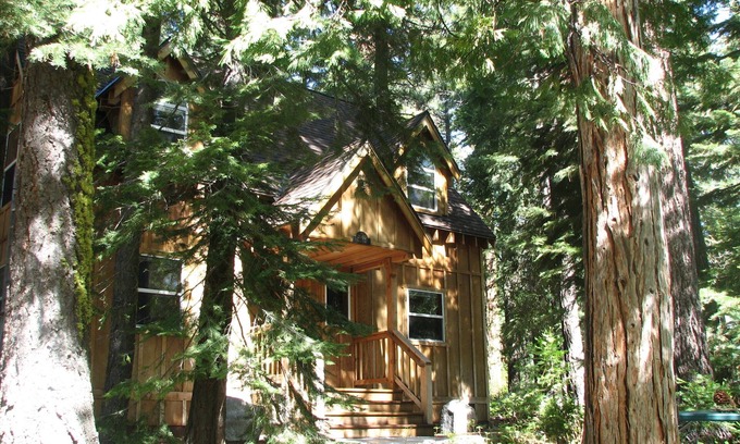 Timberland Cabin | Wonderful Westshore Family Vacation Cabin