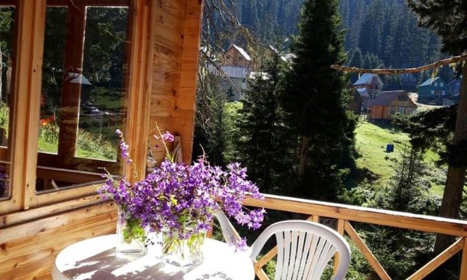 Bakhmaro House | Wooden House Bakhmaro