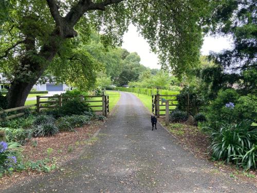 Karapiro Bed & Breakfast | Woodhey Retreat