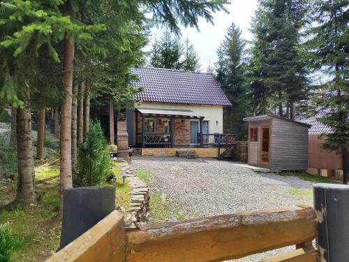 Sincraieni House | Woodland house