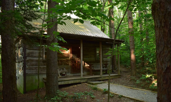 Laurelville Cabin | Woodland view-Red Log Cabin