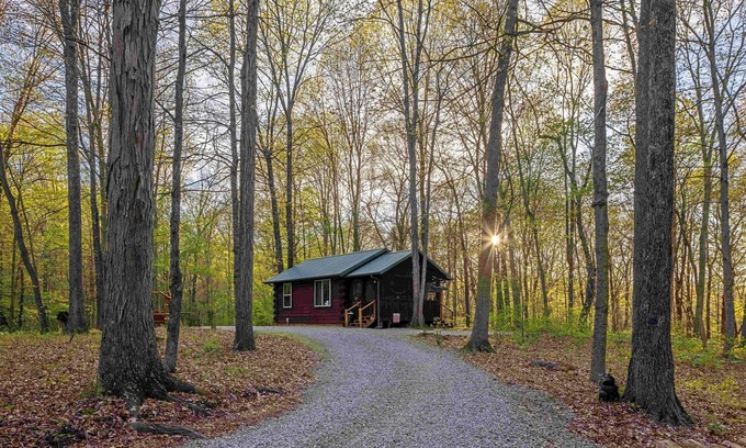 Logan Cabin | Woods Cabin, secluded with hot tub