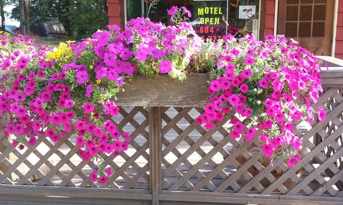 Agassiz Hotel | Woodside Inn