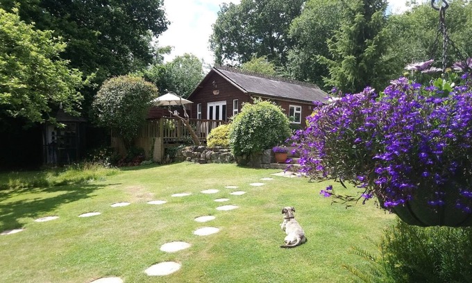 Ryde Cabin | 'Woodside Lodge' with private indoor pool. Secluded location, near to Ryde town.