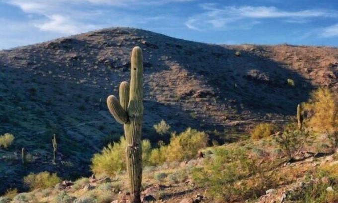 Ahwatukee Foothills Condo | WorldMark South Mountain Preserve - 1 Bedroom