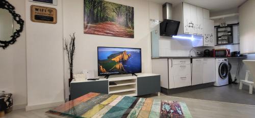 Leon Apartment | www Goyahospitales es
