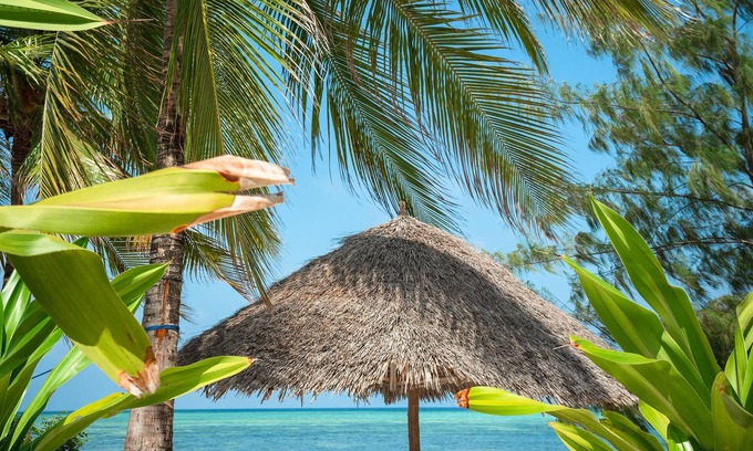 Dongwe Hotel | Xanadu Luxury Villas & Retreat Zanzibar